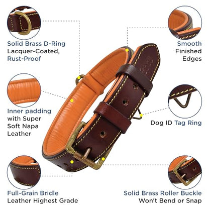 Genuine Leather Dog Collar – 1" Wide Full Grain, Padded, Heavy Duty with Brass Buckle for Small, Medium, Large, XL Dogs (Medium (Fit Neck Size 14.5"-18.5"), Brown) - color: Brown, size: M (Fit Neck Size 14.5"-18.5")