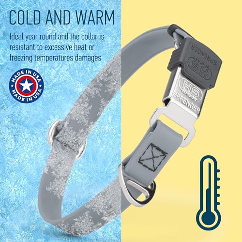 Biothane Waterproof Durable Dog Collar with Herm Sprenger - Quick Release ClicLock Buckle - Fits Medium and Large Dogs - Made in USA (Battleship Gray, W 3/4" x L 12"-19") - color: Battleship Gray, size: W 3/4" x L 12"-19"