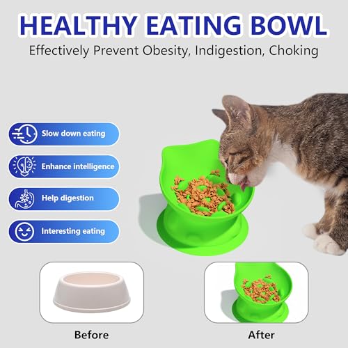 Slow Feed Cat Bowl, Elevated Cat Food Dish with Tilted Design, Dual-Use for Dry and Wet Food, Anti-Vomit, Anti-Choking, Easy to Clean - color: Green, size: Medium