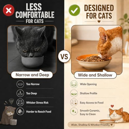Colorful Ceramic Cat Bowls Set, 6 Pack Whisker-Friendly Cat Dishes for Food and Water, 5.7" Wide and Shallow Plates for Dry Wet Food, Ideal for Multi-Pet Homes, Microwave & Dishwasher Safe
