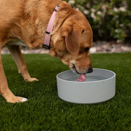 Loving Pets - Dolce Bamboo - Eco-Friendly Pet Bowls & Dishes for Dog, Cats, Puppy Food and Water Dish -Sustainable and Dishwasher Safe, Made with Real Bamboo (Small, Slate-Grey) - color: Slate Grey, size: Small Dish