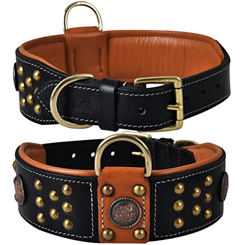 Genuine Leather ‘Cupola’ Series Dog Collar | Celtic Conchos & Gold Dome Rivets | Soft, Cushion Padding, Handmade | Best for Medium, Large, XL Breeds (XL (Neck Size 22.5"-25.5"), Sable Black) - color: Sable Black, size: XL (Neck Size 22.5"-25.5")
