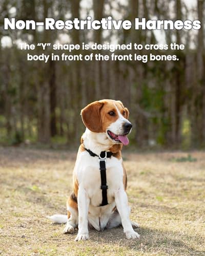 Non-Restrictive Dog Harness, Easy Walk Freedom No Pull Harness, Keep Balance, Neck-Buckle, Six Points Adjustment, 2 Leash Clips for Back and Front Clip (Black/Grey, X-Small) - color: Black/Grey, size: XS