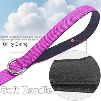 Bungee Dog Leash- 5FT Shock Absorbing & Reflective Nylon Leash | Anti-Pull Training for Small/Medium Dogs | 2cm Wide, 6 Colors (Purple) - color: Purple