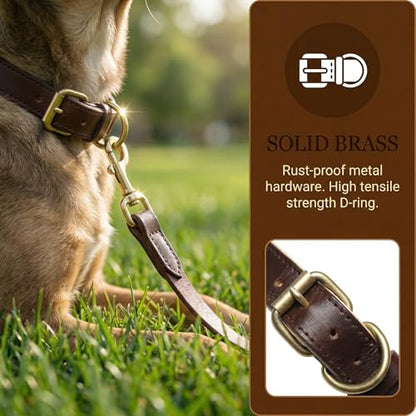 XanYu Premium Genuine Leather Dog Collar – Adjustable Heavy Duty Pet Collar with Sturdy Brass Buckle, Soft Padded & Stylish for Puppy and Small, Medium, Large Dogs (Brown)