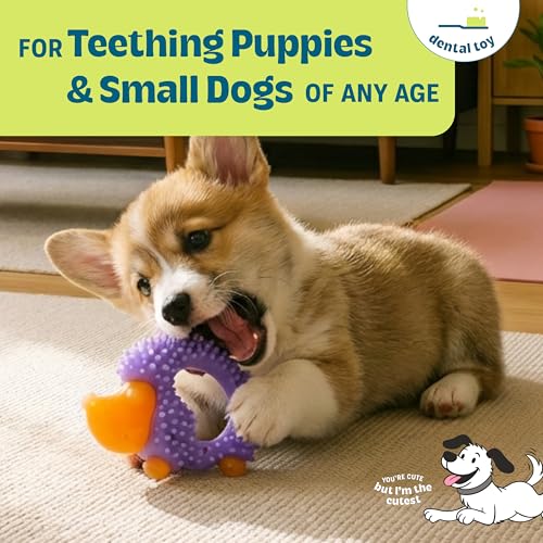 Cutie Chewies Hedgehog Dental Dog Chew Toy — Multi-Textured, Massages Gums, Floats & Bounces for Teething Puppies & Small Dogs, 5" x 3.5" x 1" - color: Hedgehog