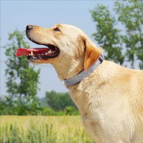 TDTOK Glittering Bling Dog Collar, Comfy & Durable Dog Collar for Small Medium Large Dogs with Eco-Friendly Plastic Buckle, Adjustable Stylish Nylon Dog Collars, Fit Necks: 9.8-22.4’’ (Silver, L) - color: Silver, size: L