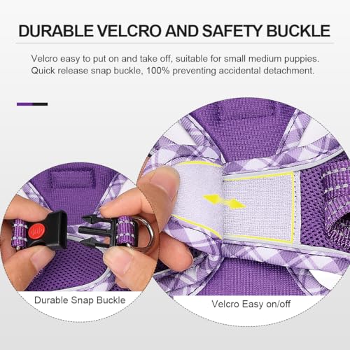 Mercano Soft Mesh Dog Harness and Leash Set, Step-in Reflective Breathable Lightweight Vest Harnesses with Safety Buckle for Small Dogs, Cats (L, Purple) - color: Purple, size: L (Chest: 17.5"-19.5")