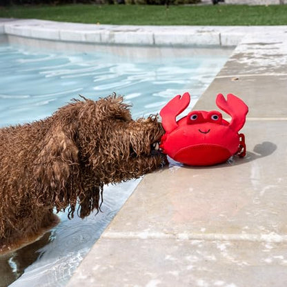 Fringe Studio Claws Floating Dog Toys, Pet Shop Collection (640007) - color: Claws
