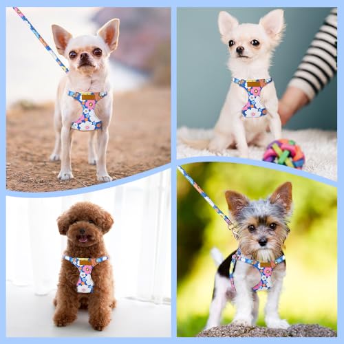Lukovee Puppy Harness and Leash Set, No Pull Lightweight Soft Suede Adjustable Pet Harness Vest with Snap Buckle for Puppy Small and Medium Size Dog (Blue Flower, XS) - color: ·Blue Flower, size: X-Small ( 5.5-11lb )