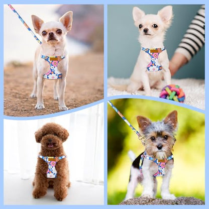 Lukovee Puppy Harness and Leash Set, No Pull Lightweight Soft Suede Adjustable Pet Harness Vest with Snap Buckle for Puppy Small and Medium Size Dog (Blue Flower, XS) - color: ·Blue Flower, size: X-Small ( 5.5-11lb )