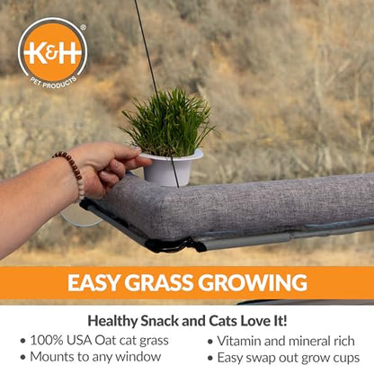 K&H Pet Products EZ Mount Cat Window Perch Deluxe Bolstered Kitty Sill with Cat Grass Grow Station - Hammock Window Bed for Indoor Pets, Home Grown Grass Toy for Bored Indoor Felines