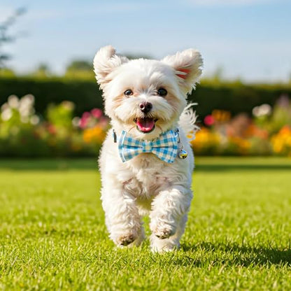 2 Pcs Bow Tie Cat Collar with Bell Breakaway, Cat Collar for Boy Cats with Bell, Cute Kitten Bow Tie Collars, Sot Adjustable Color Plaid Pet Collars (Blue) - color: Blue