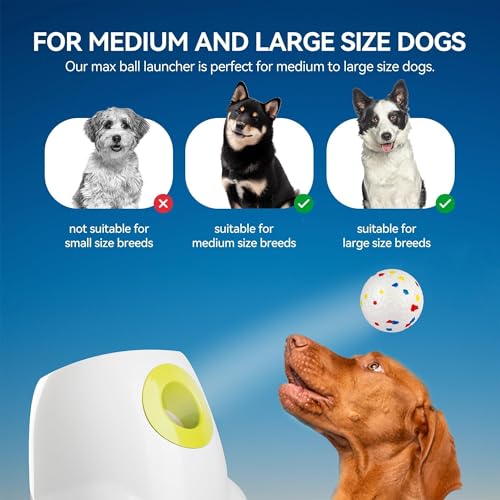 ALL FOR PAWS Automatic Ball Launcher for Dogs, Interactive Puppy Pet Balls Outdoor Thrower for Medium to Large Dogs, Ball Throwing Machine for Dogs, 6 ETPU Balls Included(2.5"), Rechargeable Battery - size: 2.5"ball launcher