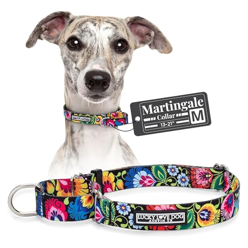 Lucky Love Dog Martingale Dog Collar - Adjustable, No-Slip, Durable, & Soft Webbing Collar for Male and Female Dogs Ideal for Training & Walking - Blackbird, Medium - color: Blackbird, size: Medium Collars (13-21")