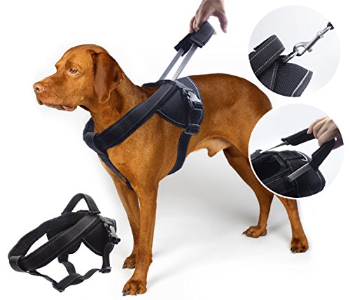 Heavy Duty Dog Harness for Large Dogs, No Pull Dog Vest Harness with Handle Extensible, Reflective Stitching (XL) - size: XL: Chest girth 28-38''