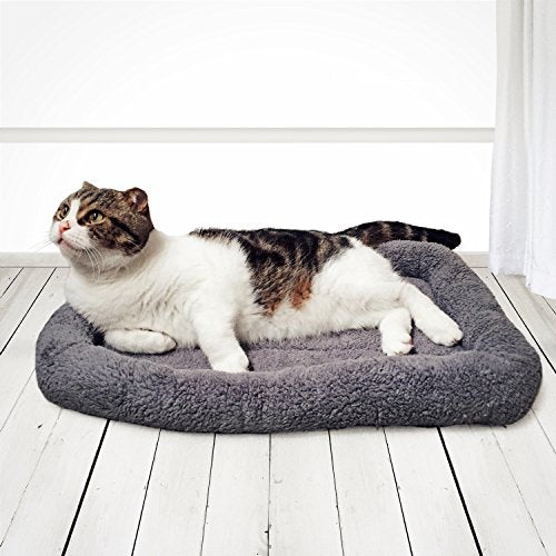 Cat Mat Bed 16" x 22" Pet Bed with Pillow Around for Dogs Cats Curled Sleeping Beds for Carrier/Crate Small to Medium Dog Cushion, Anti Skid Bottom, Medium - size: Medium(Rectangular)
