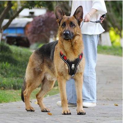 Chesoon Tactical Dog Harness No Pull Reflective with Leash LED Lamp Durable Pet Vest Breathable Handle Adjustable Black M - color: Black, size: M