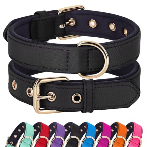 Didog Soft Padded Dog Collars for Small Dogs, Lightweight and Breathable Dog Collar with Metal Buckle for Puppy, Black, S - color: Black, size: S: Fit 9-12" Neck