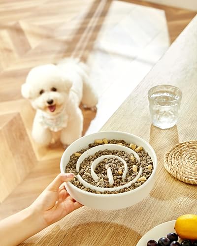 Ceramic Slow Feeder Dog Bowls, 2.0 Cups Slow Feeder for Medium Dogs, Puzzle Maze Bowl to Slow Down Eating, 30oz, 8in, White - color: White, size: 8 Inches
