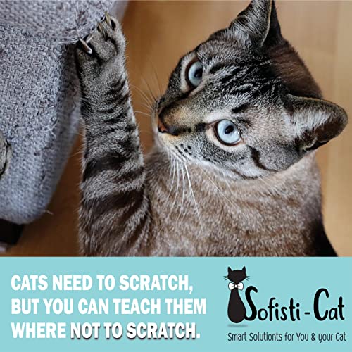 Sofisti-Cat Training Tape, Cat Tape for Furniture, Scratch Deterrent Keep Cats from Scratching Furniture with Our Double -Sided Repellent, 2.5" x 15' Roll - size: 2.5"x15' roll