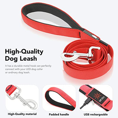 Colaseeme Light Up Dog Leash, LED Pet Leashes USB Rechargeable, Glow Safety Dogs Lights at Night (4FT,Red) - color: Red, size: 4FT