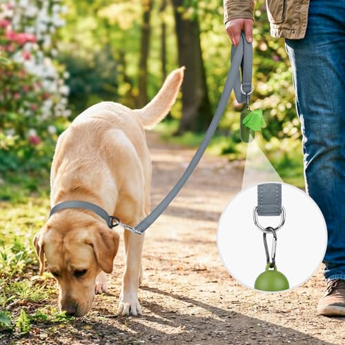 Joytale Dog Leash, 4 FT Double-Sided Reflective, Padded Handle Nylon Heavy Duty Leashes for Small Dogs Walking, Grey - color: Grey, size: 4 ft Narrow