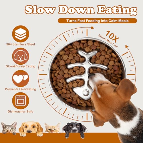 BOYUEKEJI Stainless Steel Slow Feeder Dog Bowl, 304 Grade MetalPet Food Bowl, Teddy Cat Design Insert, Healthy Feeding Solution for Dogs, Cats