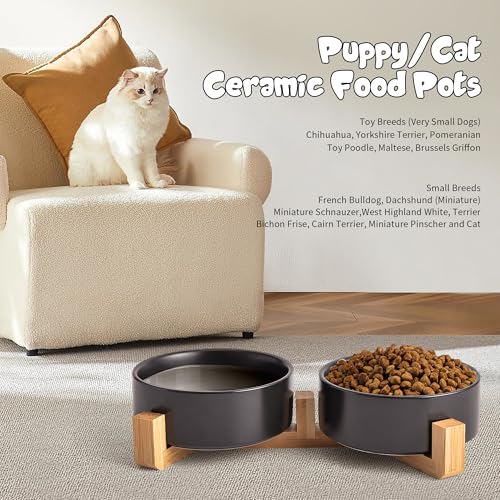 Mowtanco Black Ceramic Dog & Cat Bowl Set – 13.5 OZ with Wooden Stand, Non-Slip, Elevated Design for Small Dogs & Cats – 2 Bowls (Food & Water, Ceramic Pet Bowls, Modern Dog Bowls) - color: Black × 2