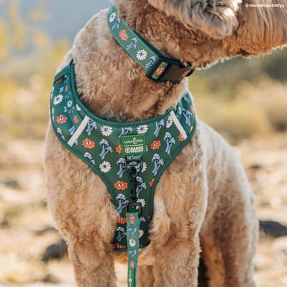 Lucy & Co. x Parks Project Power to the Parks No-Pull Dog Harness, Adjustable Front Clip Harness with Comfort Padding, Small - color: Power to the Parks, size: Small