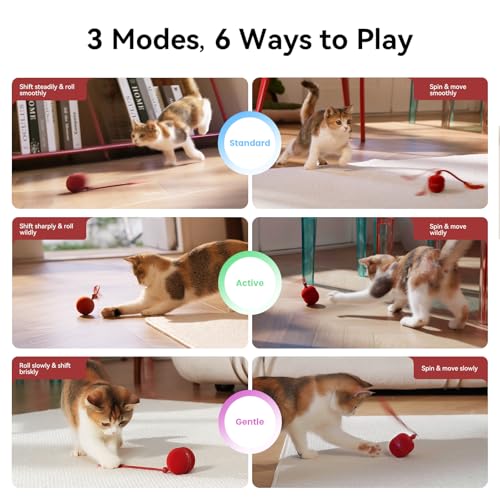 Cheerble 2 in 1 Interactive Cat Toys for Indoor Cats - Wicked Ball Duo2 Automatic Cat Toy, Dual Interchangeable Shells, Electric Cat Toy Ball with Chirping Sounds, Rechargeable Moving Kitten Toys, Red - color: Red