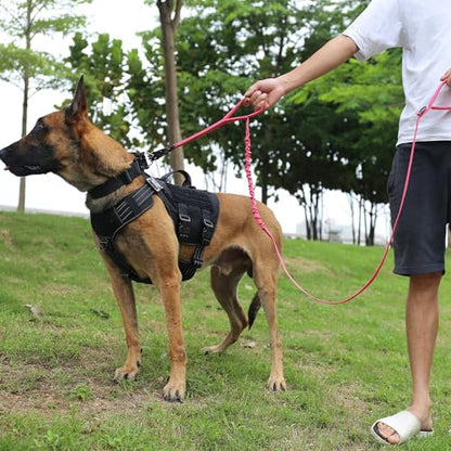 ICEFANG Tactical Dog Leash,K9 Training Walking Bungee Lead with 2 Control Handle,Heavy Duty Quick Release Metal Clasp,for Medium Large Breed (Reflective Rose, 6 FT) - color: Rose, size: 6 FT