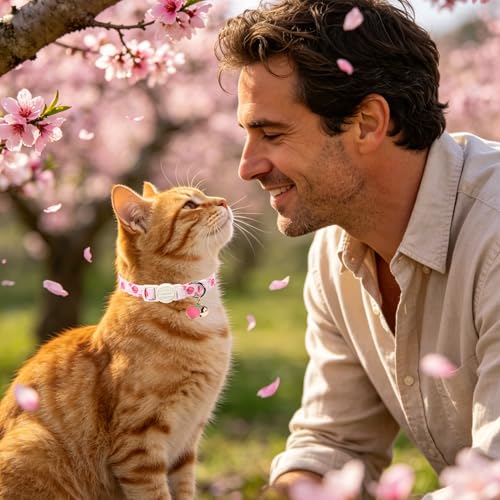 Unique style paws 2 Pack Valentine Kitten Collar Breakaway with Bell&Pendant, Adjustable Safety Spring Summer Peach Flower Pink Bow Cat Cotton Collar for Girl Boy Cat and Small Pet - color: Peach Flower Bow