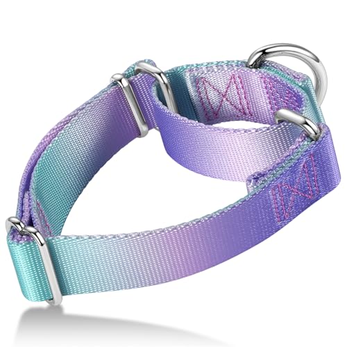 Martingale Dog Collar Colorful Gradient Fashionable - Anti-Escape Soft Durable Pets Collar for Walking Training Outdoor Daily Use -Small, Purple Green - color: Purple to Green Gradient, size: Small+: 11" -15.5"