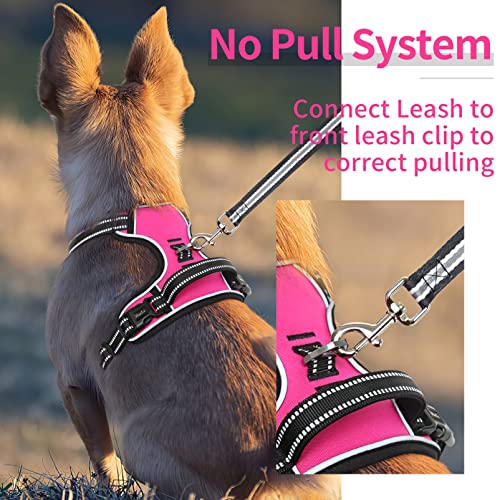 HEELE Dog Harness Dog Harness Small Dog No Pull Harness with Soft Handle Reflective Harness Adjustable, Rose, XS - color: Rose, size: XS