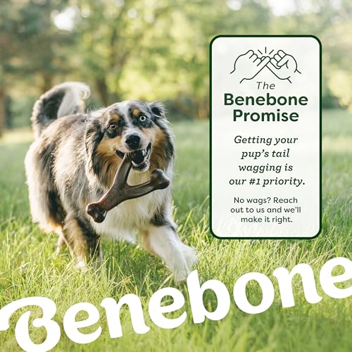 Benebone Bacon Wishbone/Rubber Bone Medium, 2-Pack - size: 2 Pack, style: Bone/Wishbone