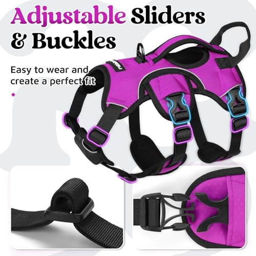 rabbitgoo Escape Proof Dog Harness, Soft Padded Full Body Pet Harness, Reflective Adjustable No Pull Vest with Lift Handle and Lesh Clip for Large Dogs Walking Hiking Training, S, Purple - color: Purple, size: Small (Pack of 1)