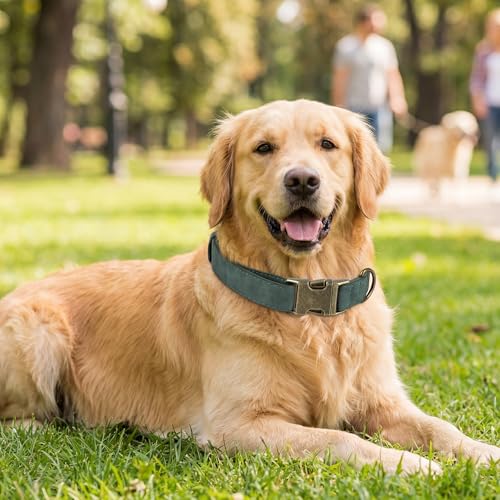 TDTOK Soft PU Leather Dog Collar, Classic Leather Collar for Small Medium Large Dogs with Quick Release Metal Buckle, Durable & Adjustable Fit 10-23" Neck - color: Green, size: M