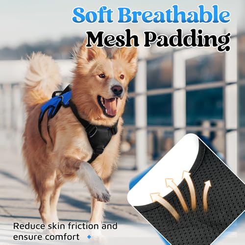 rabbitgoo Escape Proof Dog Harness, Soft Padded Full Body Pet Harness, Reflective Adjustable No Pull Vest with Lift Handle and Leash Clip for Large Dogs Walking Hiking Training, M, Blue - color: Blue, size: Medium (Pack of 1)