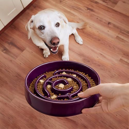 Ceramic Slow Feeder Dog Bowl,1.5 Cups Pet Slow Feeder for Small and Medium Breed,Puzzle Dog Food Dish,Anti-Gulping,Stop Bloat,Preventing Choking(Purple) - color: Purple