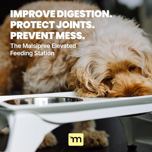 MalsiPree Elevated Dog Bowls for Small Dogs - 6.5" Raised Dog Bowl Stand with Splash Guard - Portable Folding Pet Feeding Station with 2 Stainless Steel Bowls - Travel Road Trip Foldable Collapsible - size: Medium