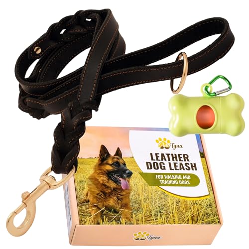 ADITYNA - Double Handle Leather Dog Leash 6ft - Heavy Duty Braided Dog Leash with Traffic Handle - Lead for Training and Walking Medium Large Breeds (Black, Two Handles 6 Foot x 5/8") - color: Black, size: Two Handles 6 foot x 5/8"