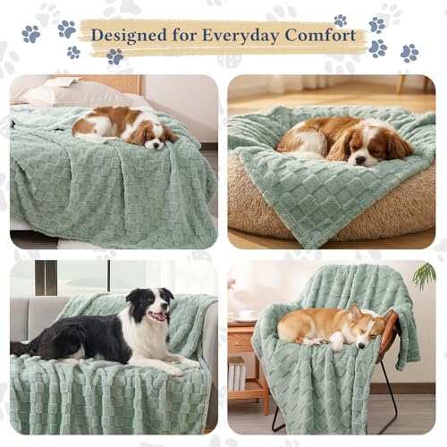 David's Home Large Dog Blankets Washable Pet Bed Cover, Soft Fluffy Fuzzy Cat Puppy Blanket with Premium 300GSM Fleece for Pet Kitten Doggy, Aqua Gray, 50x60IN - color: Aqua Gray, size: Throw