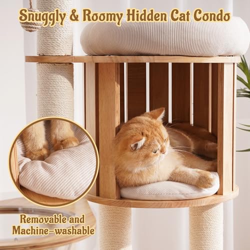 Modern Cat Tree Tower with Scratching Post, 61.5in Tall Cat Tree for Indoor Cats, Multi-Level Solid Wood Cat Furniture with Ladder, Cozy Cat Beds, Cat Condo, Capsule Nest, Dangling Toy, Natural - color: 61.5"Natural