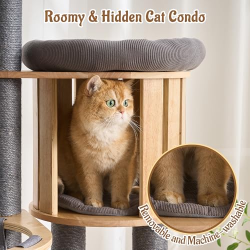 Modern Cat Tree Tower with Scratching Post, 61.5in Tall Cat Tree for Indoor Cats, Multi-Level Solid Wood Cat Furniture with Cozy Cat Beds, Cat Condo, Hammock, Capsule Nest, Turntable Toy, Gray - color: 61.5"-V-Gray