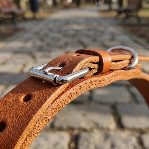 XanYu Premium Genuine Leather Dog Collar – Adjustable Heavy Duty Pet Collar with Sturdy Metal Buckle, Soft & Classic for Puppy and Small, Medium, Large Dogs (Tan)