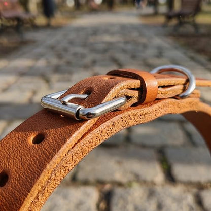 XanYu Premium Genuine Leather Dog Collar – Adjustable Heavy Duty Pet Collar with Sturdy Metal Buckle, Soft & Classic for Puppy and Small, Medium, Large Dogs (Tan)
