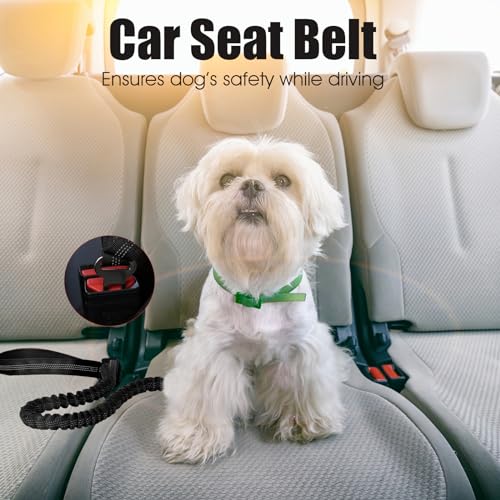 BUMBIN 6Ft Bungee Leash With 2 Handles for Large, Medium, Small Dogs - Heavy Duty, No Pull Shock Absorbing With Car Seat Belt for Training, Black - color: Black