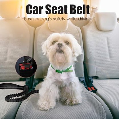 BUMBIN 6Ft Bungee Leash With 2 Handles for Large, Medium, Small Dogs - Heavy Duty, No Pull Shock Absorbing With Car Seat Belt for Training, Black - color: Black