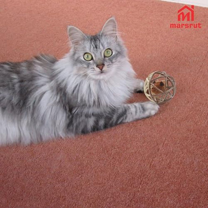 Squeaky Mouse Ball Cat Toy with Simulated Sound, Mouse Inside Cage, Squeky Balls for Cats to Play with Indoor, Squeak Interactive Plastic Funny Toys Best for Chewing Training Playing Chasing (Beige)